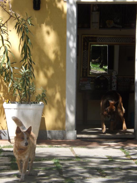 Villa Mirano Bed & Breakfast Piossasco Extérieur photo